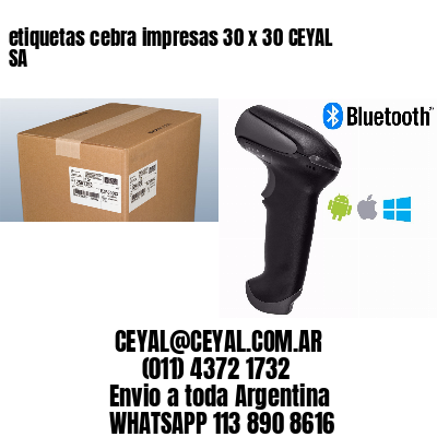 etiquetas cebra impresas 30 x 30 CEYAL SA