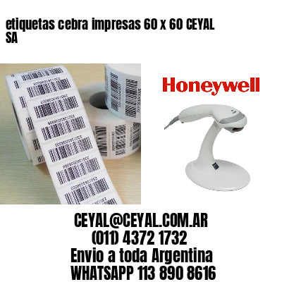 etiquetas cebra impresas 60 x 60 CEYAL SA