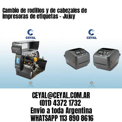 Cambio de rodillos y de cabezales de impresoras de etiquetas - Jujuy