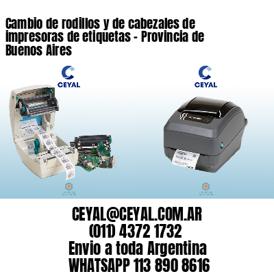Cambio de rodillos y de cabezales de impresoras de etiquetas - Provincia de Buenos Aires