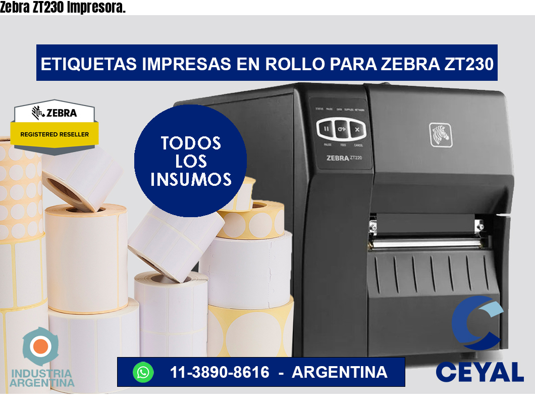 Zebra ZT230 Impresora.