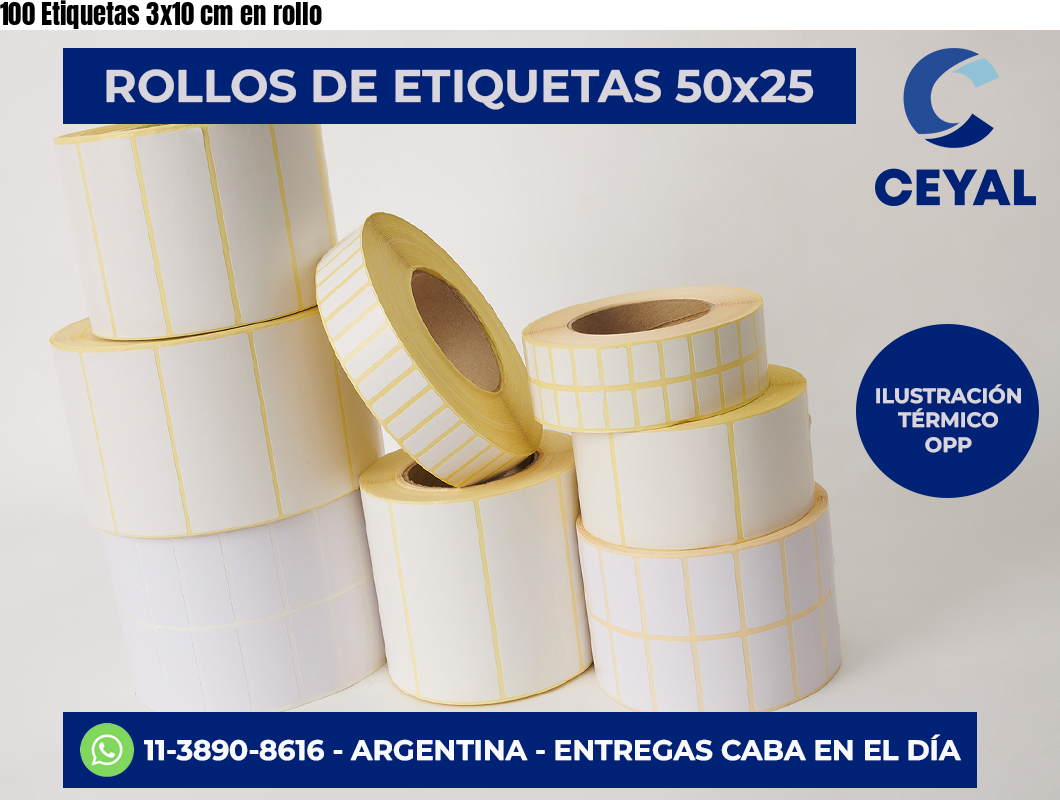 100 Etiquetas 3×10 cm en rollo