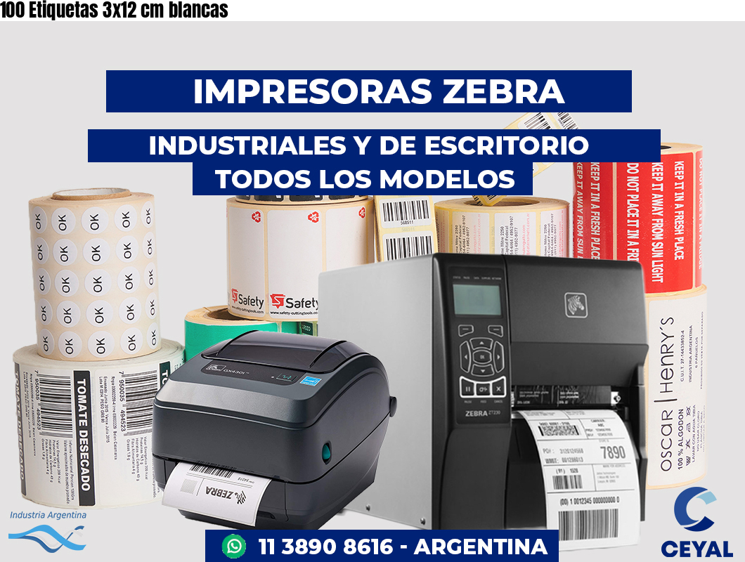 100 Etiquetas 3x12 cm blancas