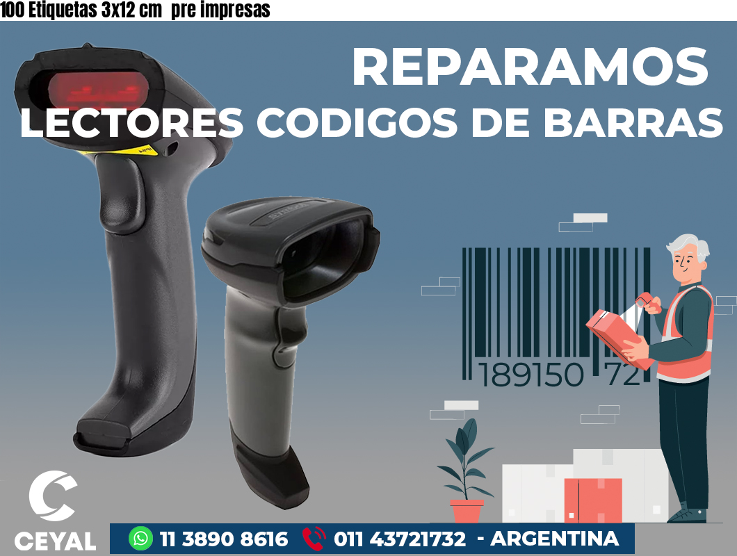 100 Etiquetas 3x12 cm  pre impresas