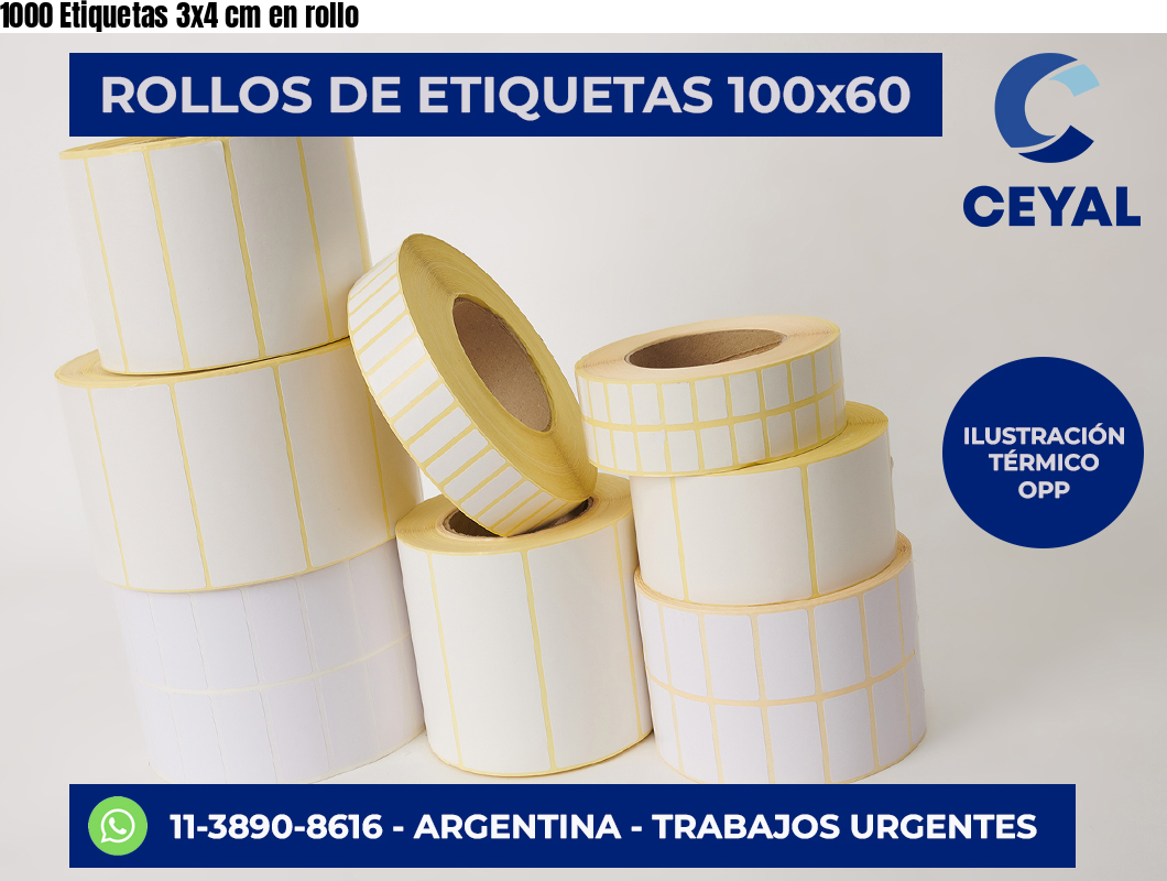 1000 Etiquetas 3×4 cm en rollo