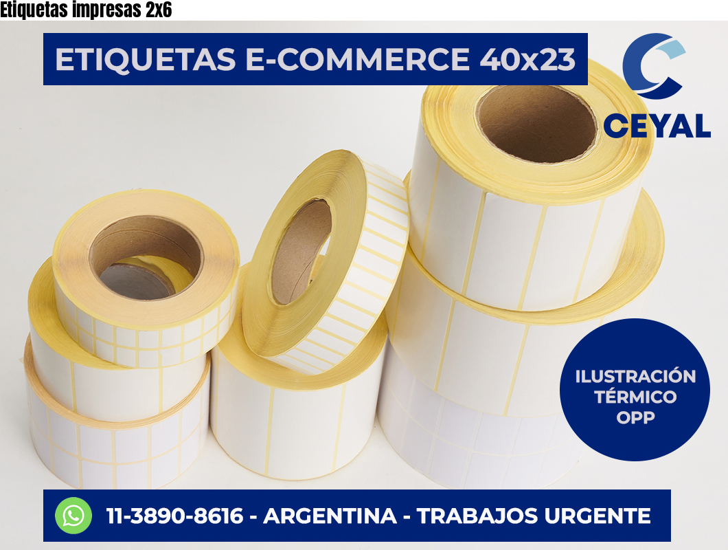 Etiquetas impresas 2×6
