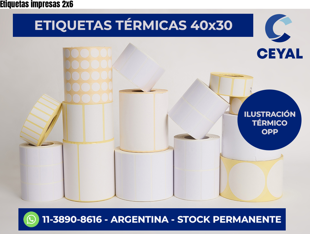 Etiquetas impresas 2×6