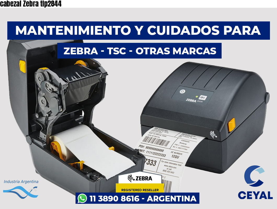 cabezal Zebra tlp2844