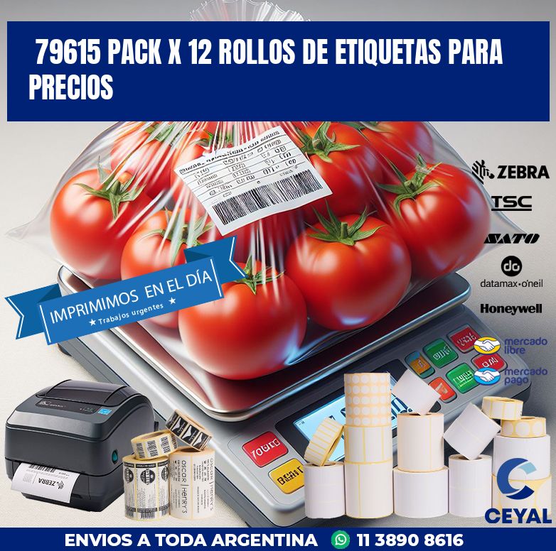 79615 PACK X 12 ROLLOS DE ETIQUETAS PARA PRECIOS