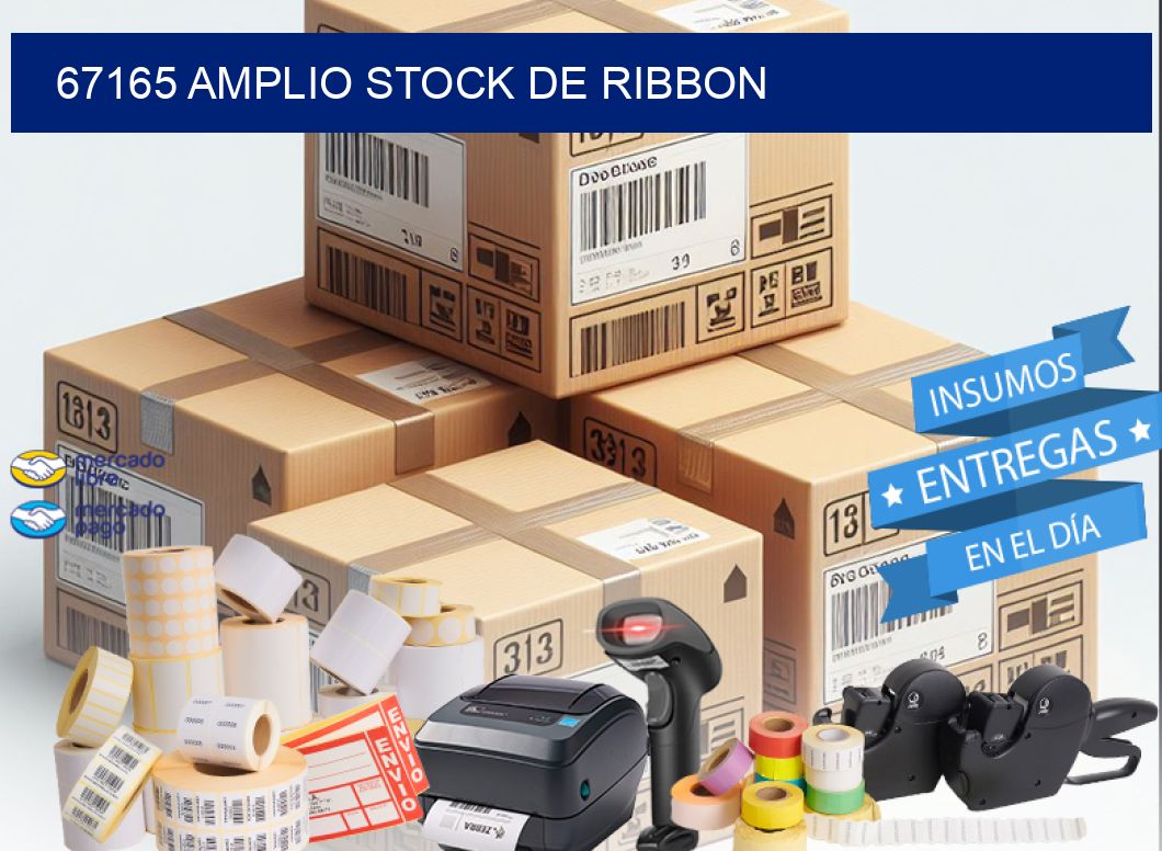 67165 AMPLIO STOCK DE RIBBON