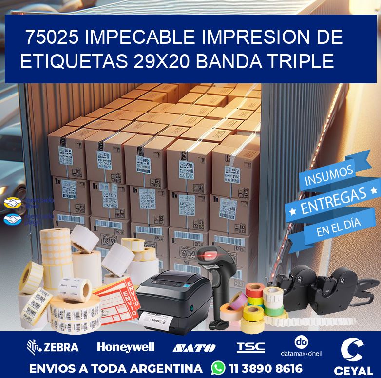 75025 IMPECABLE IMPRESION DE ETIQUETAS 29X20 BANDA TRIPLE