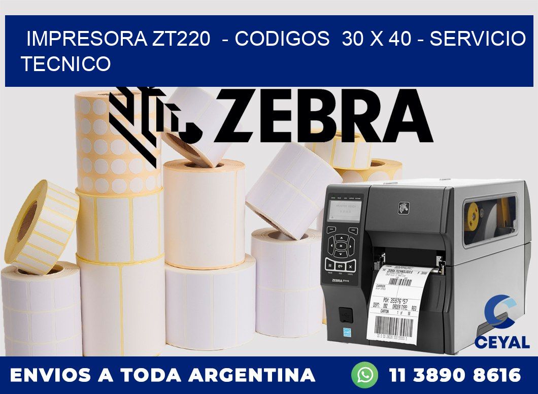 IMPRESORA ZT220  - CODIGOS  30 x 40 - SERVICIO TECNICO