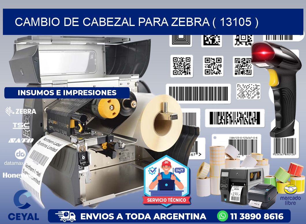 CAMBIO DE CABEZAL PARA ZEBRA ( 13105 )