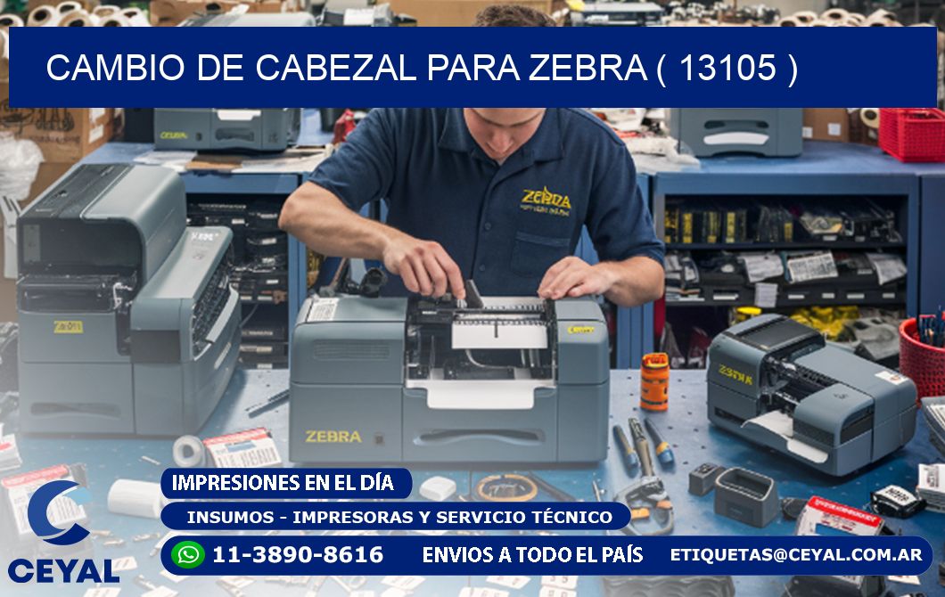CAMBIO DE CABEZAL PARA ZEBRA ( 13105 )