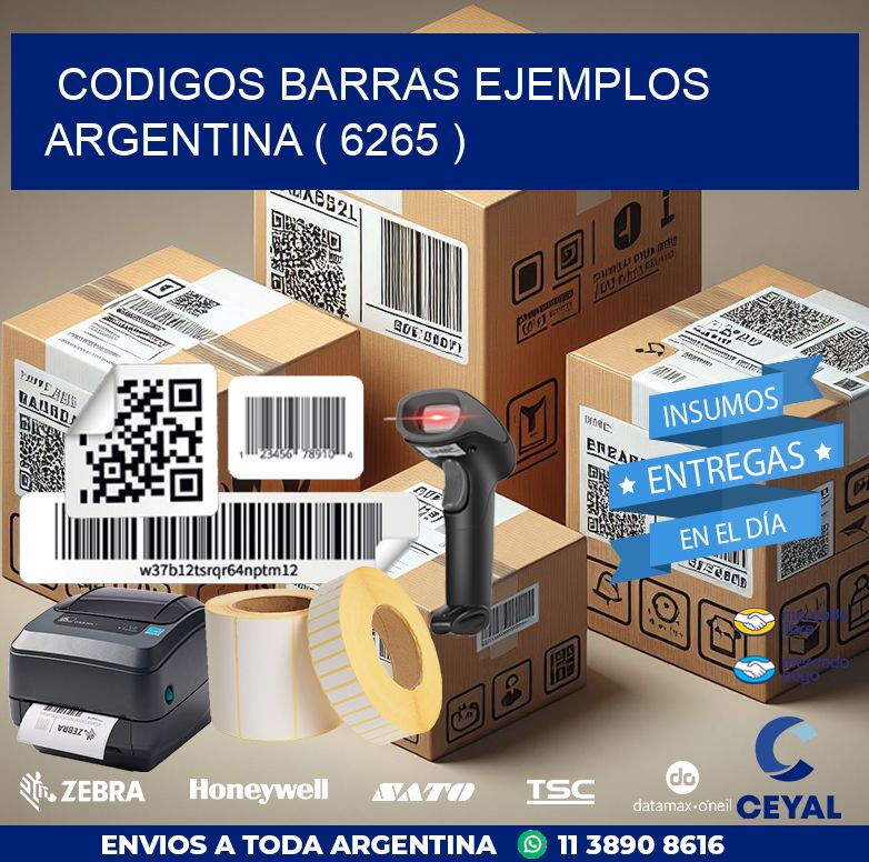codigos barras ejemplos argentina ( 6265 )
