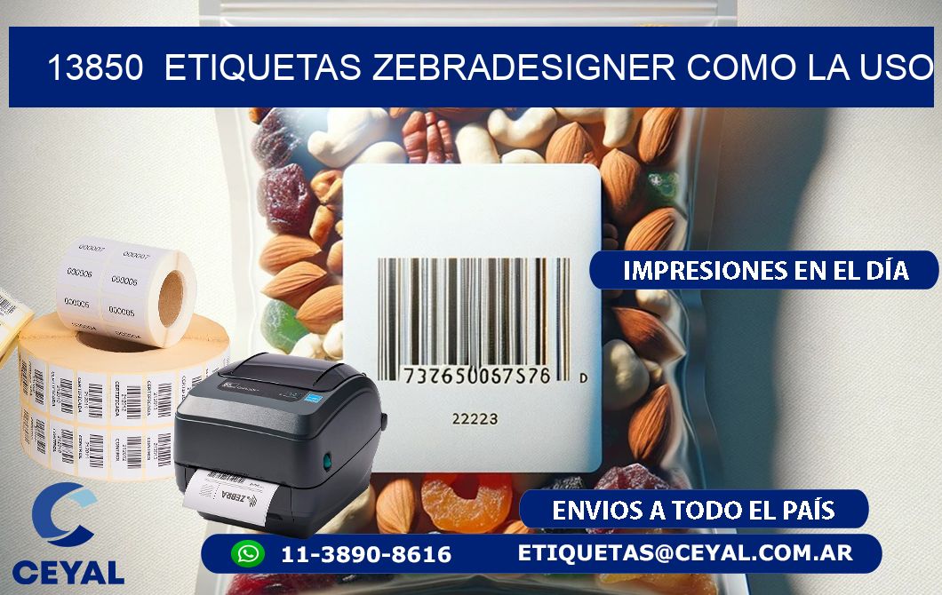 13850  ETIQUETAS ZEBRADESIGNER COMO LA USO