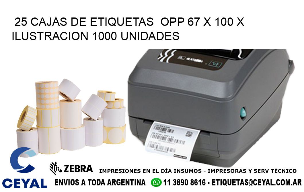 25 CAJAS DE ETIQUETAS  OPP 67 x 100 X ILUSTRACION 1000 UNIDADES