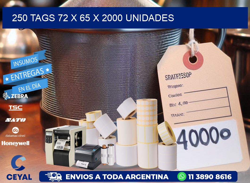 250 TAGS 72 x 65 X 2000 UNIDADES