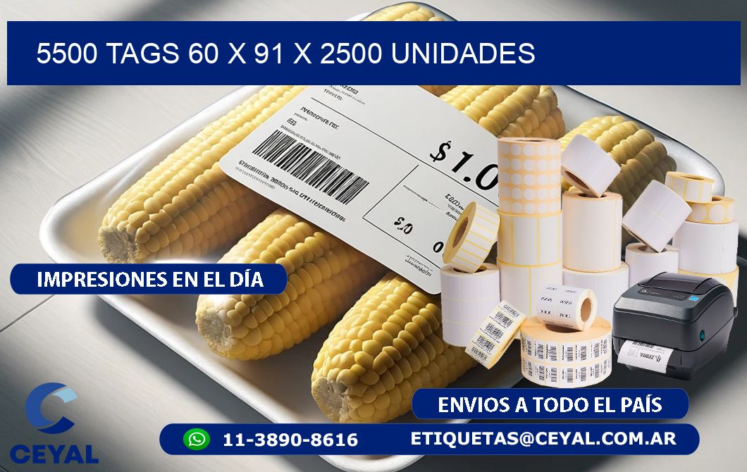 5500 TAGS 60 x 91 X 2500 UNIDADES