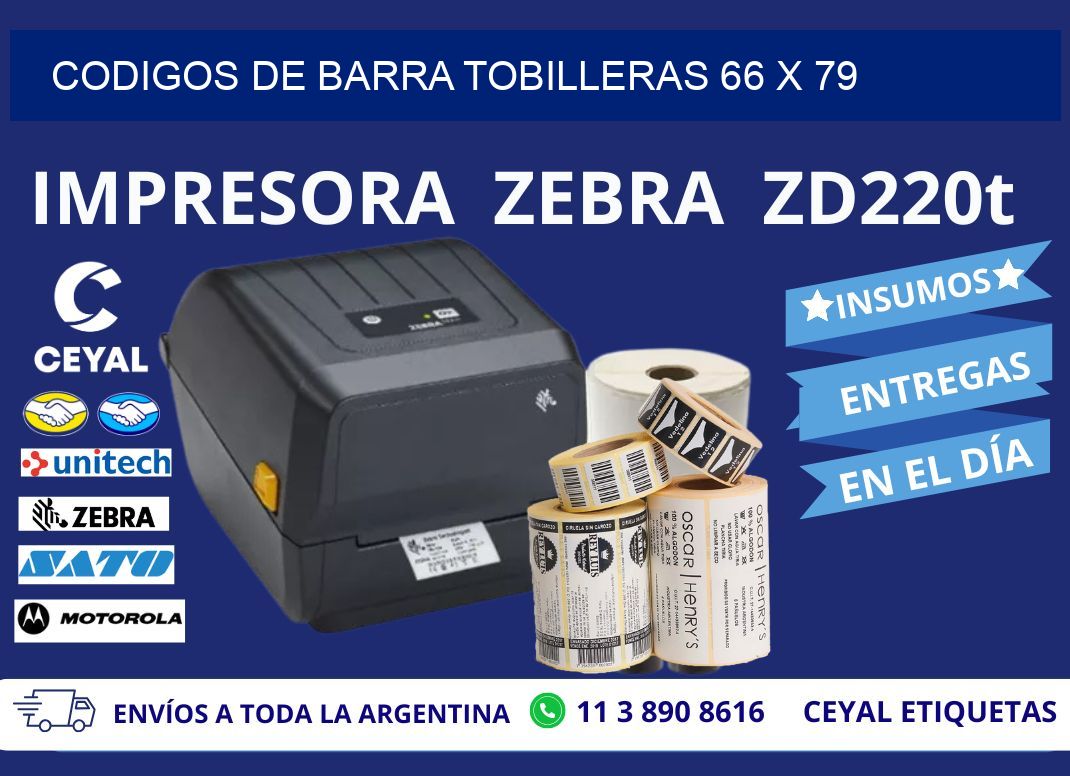 CODIGOS DE BARRA TOBILLERAS 66 x 79