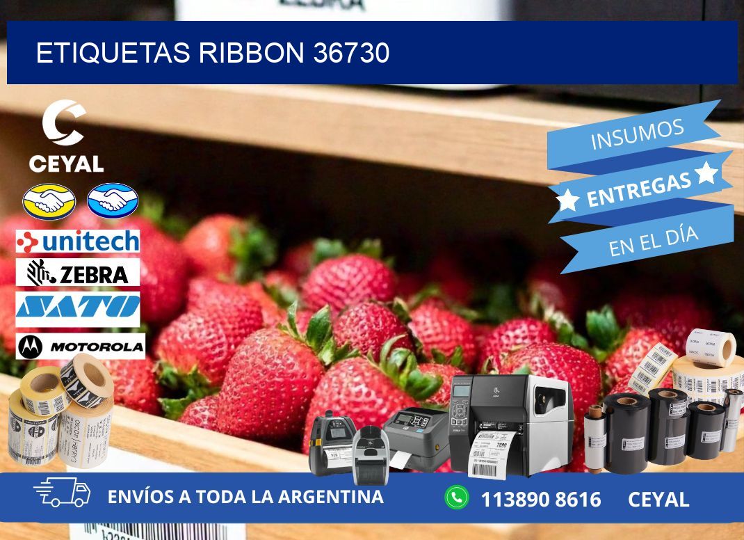 ETIQUETAS RIBBON 36730