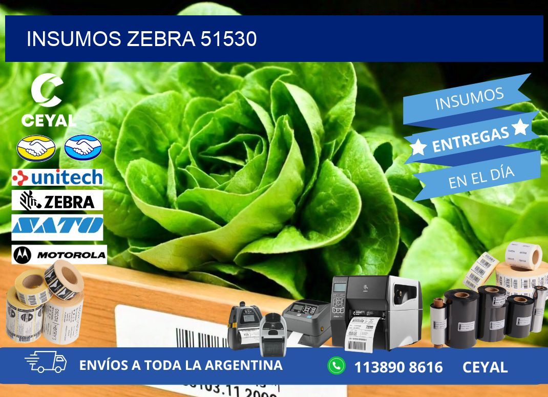 INSUMOS ZEBRA 51530