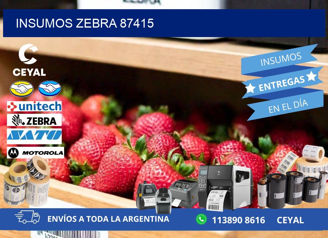 INSUMOS ZEBRA 87415