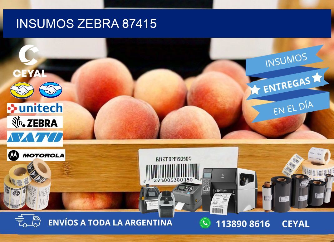 INSUMOS ZEBRA 87415