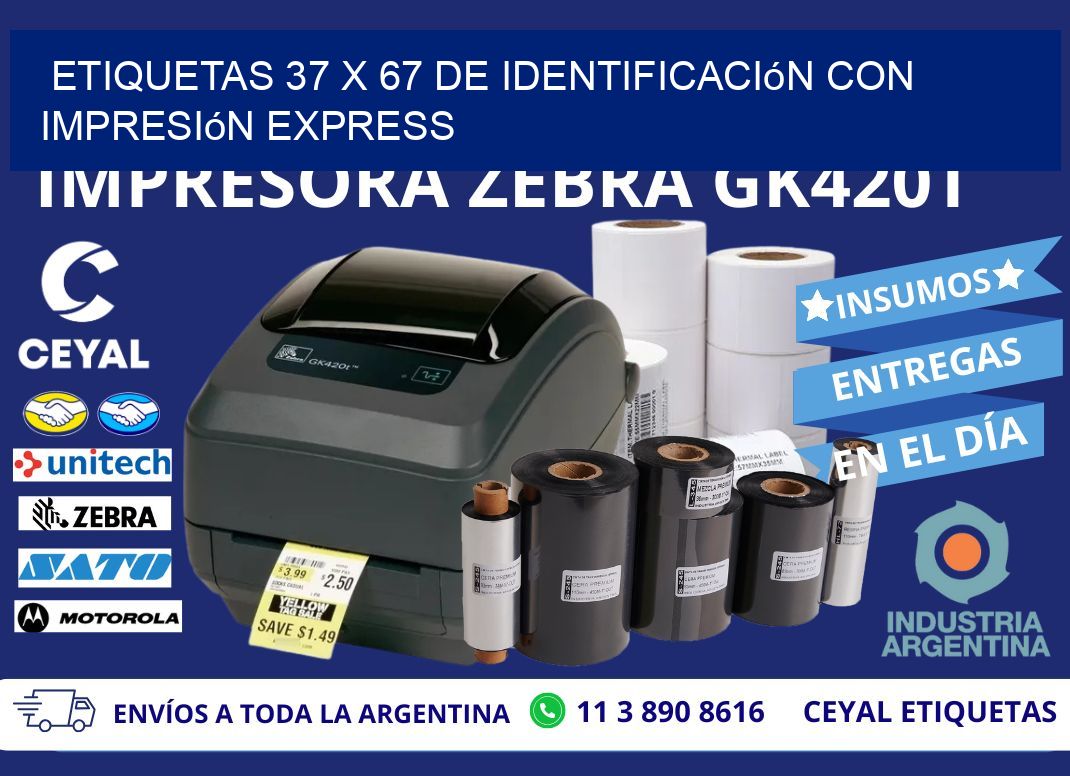 Etiquetas 37 x 67 de Identificación con Impresión Express