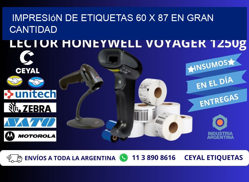 Impresión de Etiquetas 60 x 87 en Gran Cantidad