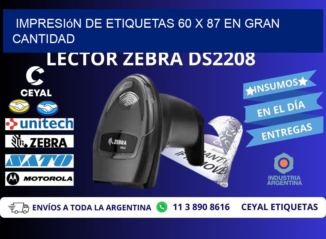 Impresión de Etiquetas 60 x 87 en Gran Cantidad