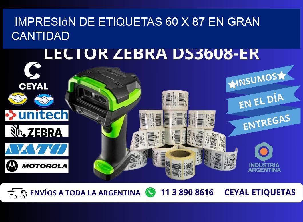 Impresión de Etiquetas 60 x 87 en Gran Cantidad