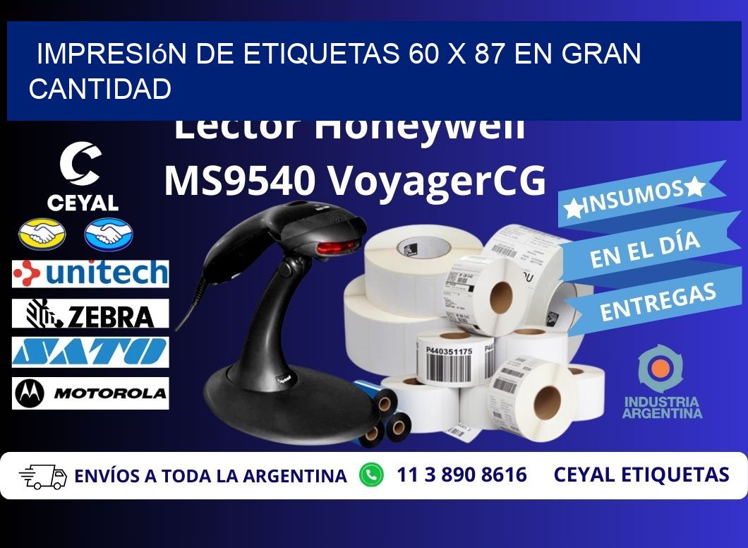 Impresión de Etiquetas 60 x 87 en Gran Cantidad