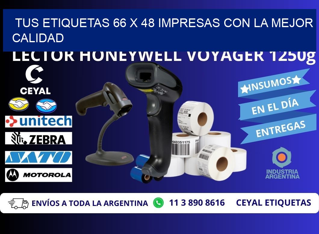 Tus Etiquetas 66 x 48 Impresas con la Mejor Calidad