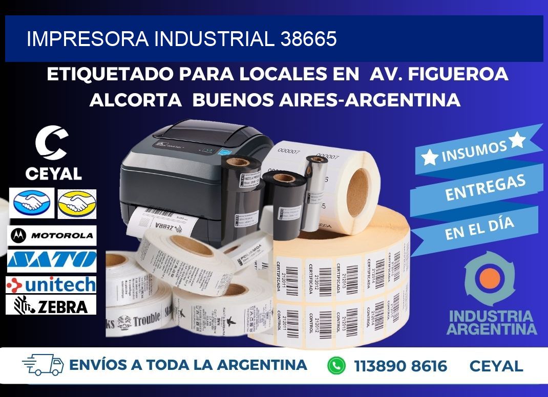 IMPRESORA INDUSTRIAL 38665