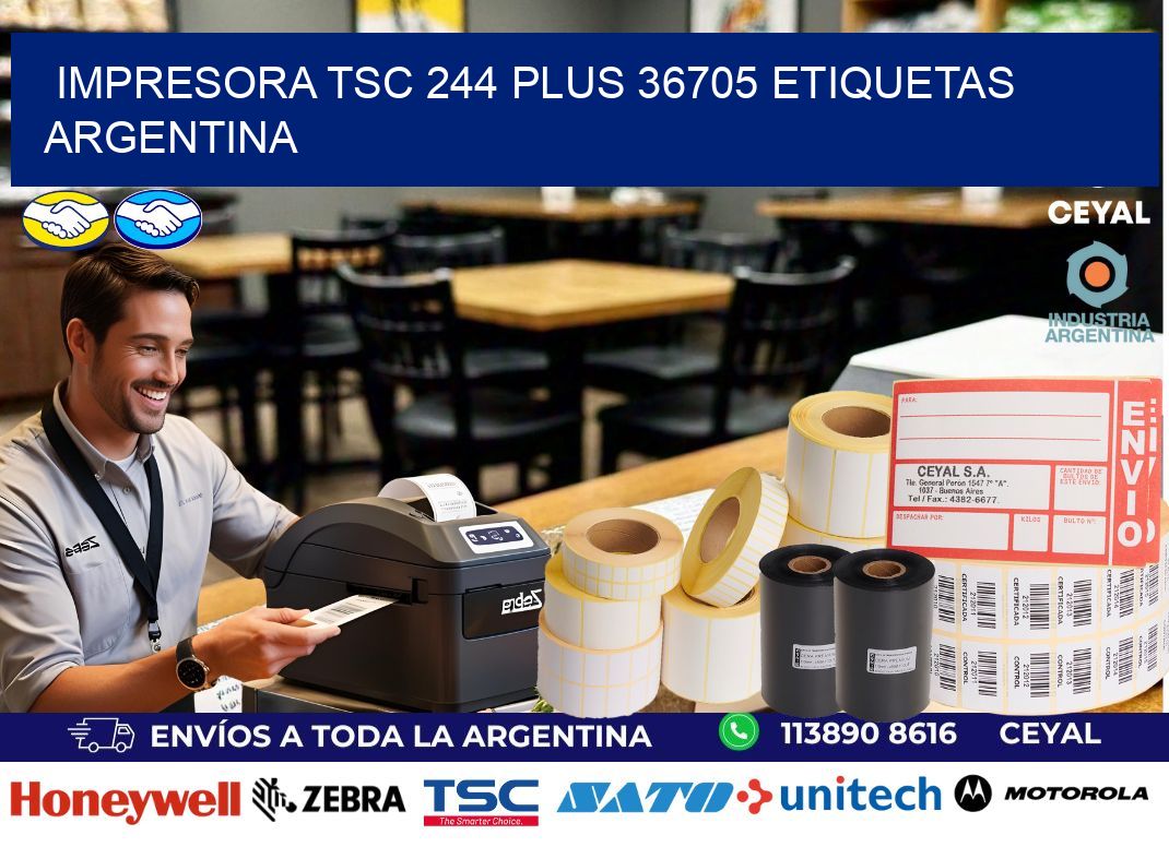 Impresora tsc 244 plus 36705 etiquetas argentina