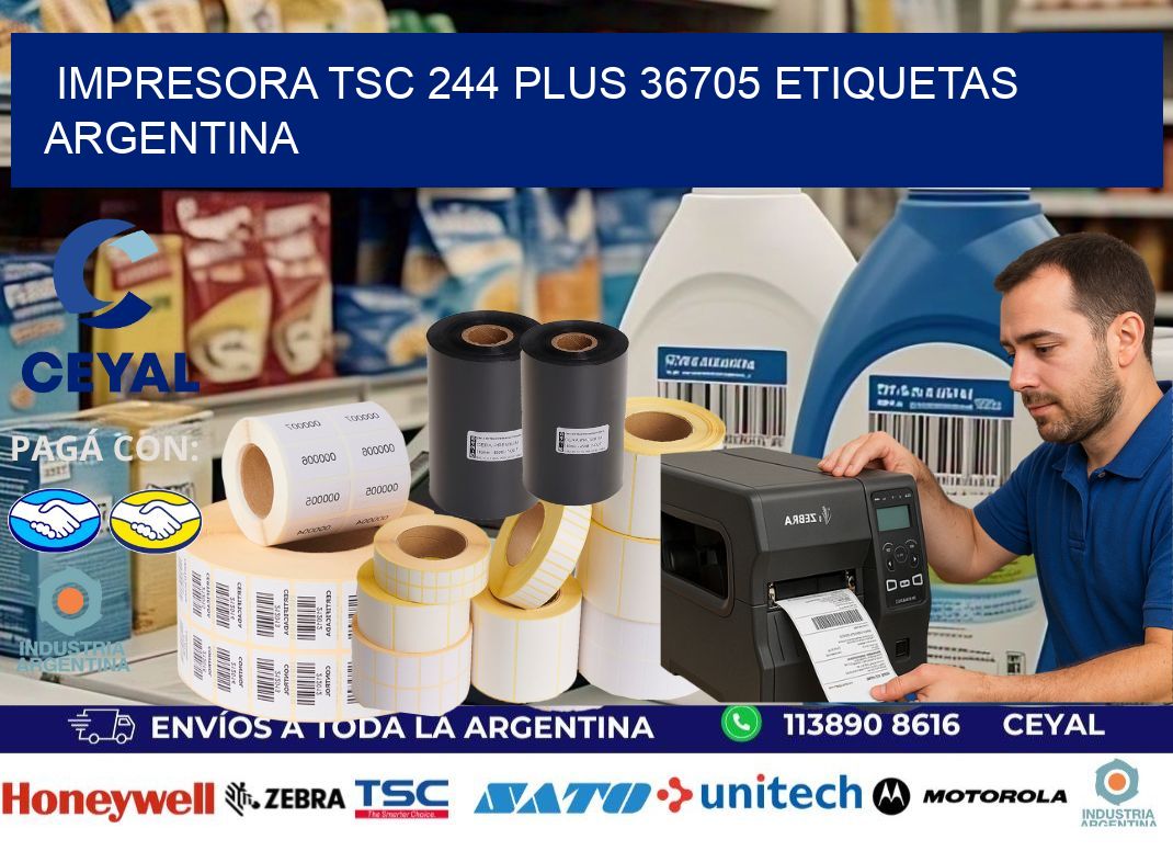 Impresora tsc 244 plus 36705 etiquetas argentina