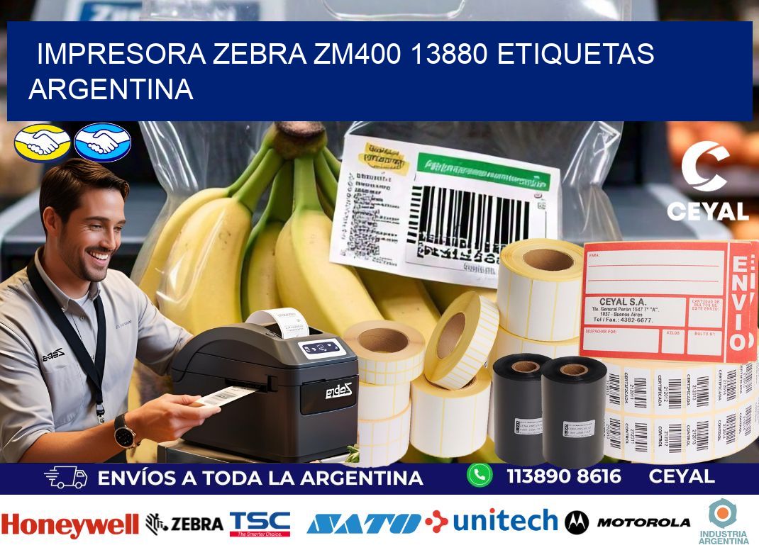 Impresora zebra zm400 13880 etiquetas argentina
