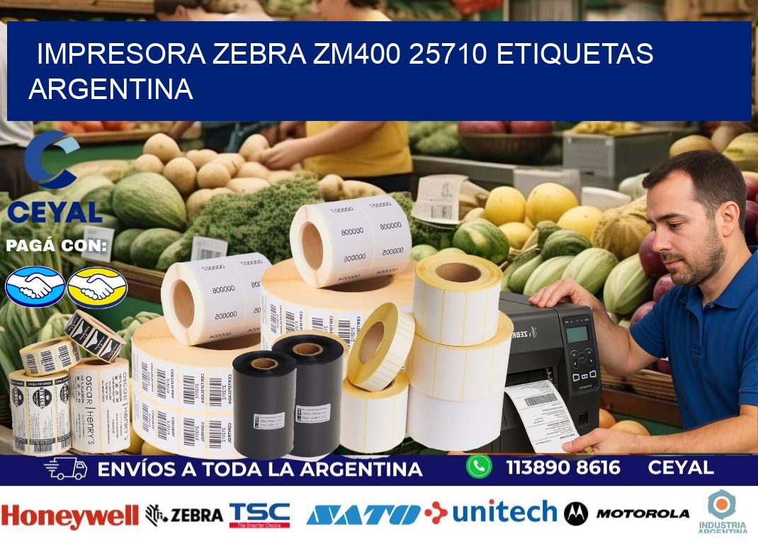 Impresora zebra zm400 25710 etiquetas argentina