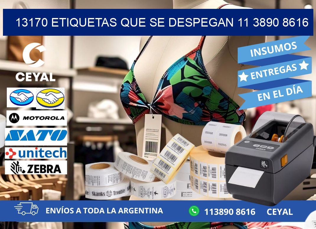 13170 ETIQUETAS QUE SE DESPEGAN 11 3890 8616