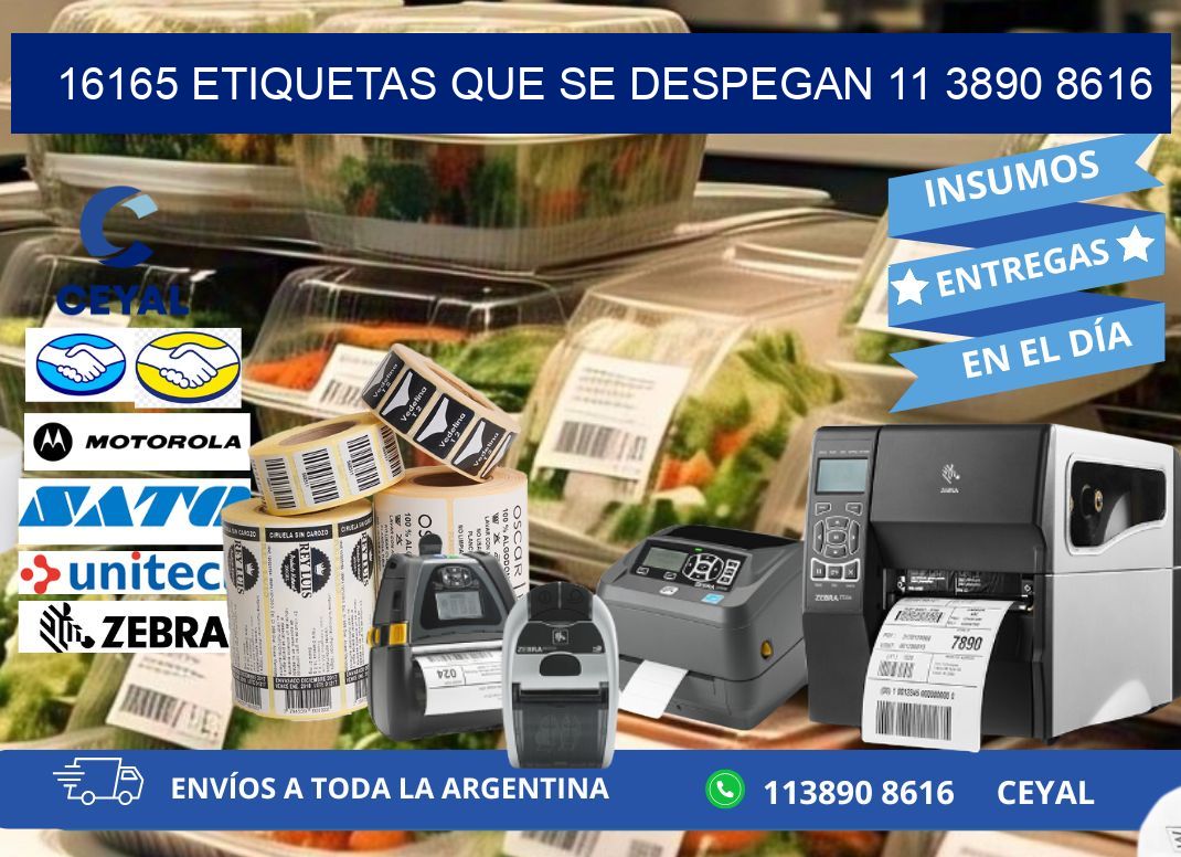 16165 ETIQUETAS QUE SE DESPEGAN 11 3890 8616