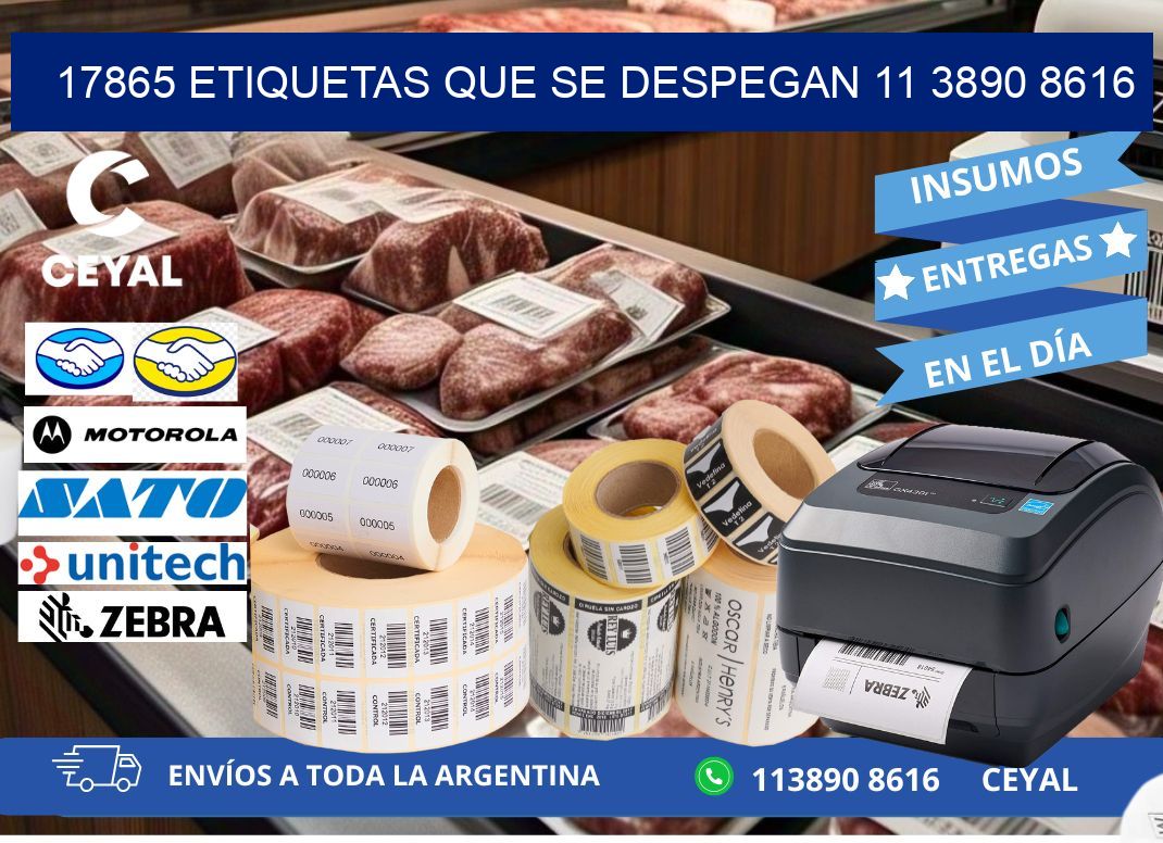 17865 ETIQUETAS QUE SE DESPEGAN 11 3890 8616