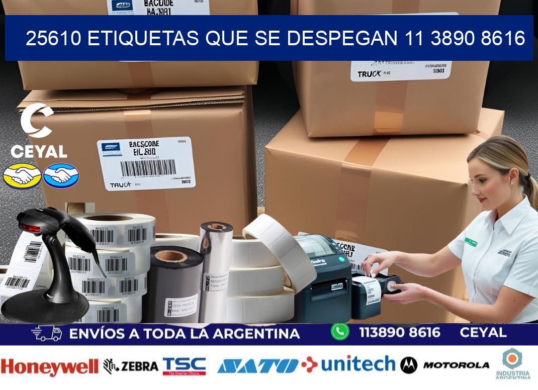 25610 ETIQUETAS QUE SE DESPEGAN 11 3890 8616