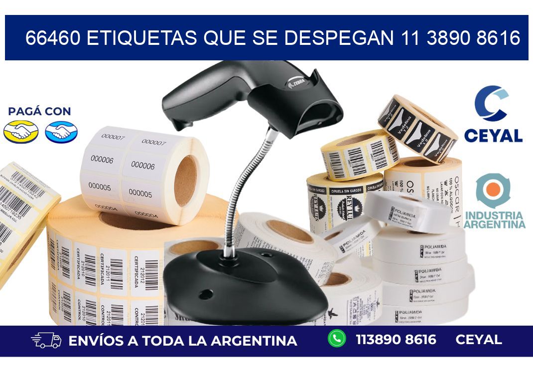 66460 ETIQUETAS QUE SE DESPEGAN 11 3890 8616