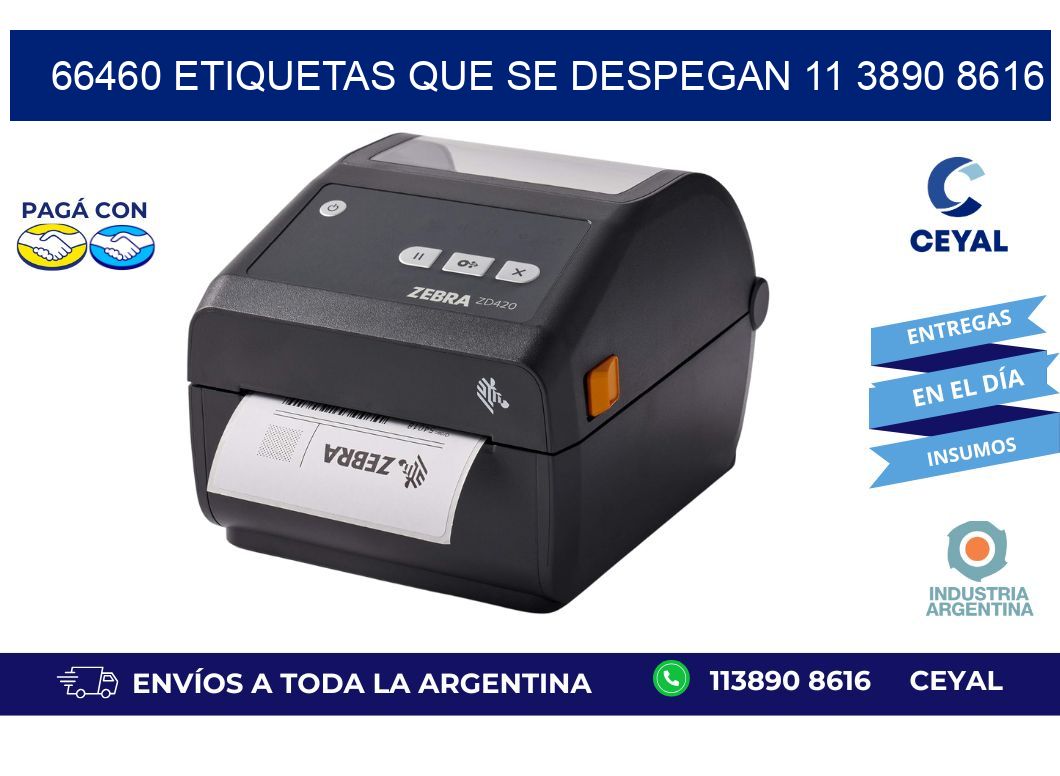 66460 ETIQUETAS QUE SE DESPEGAN 11 3890 8616