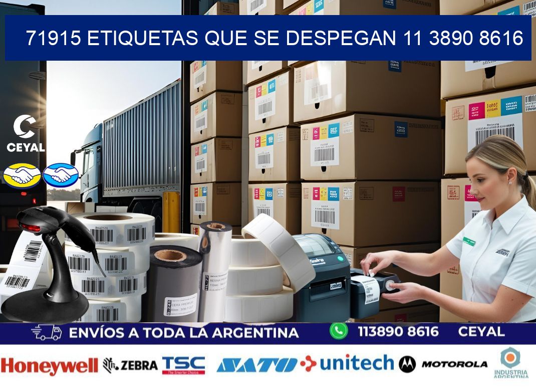 71915 ETIQUETAS QUE SE DESPEGAN 11 3890 8616