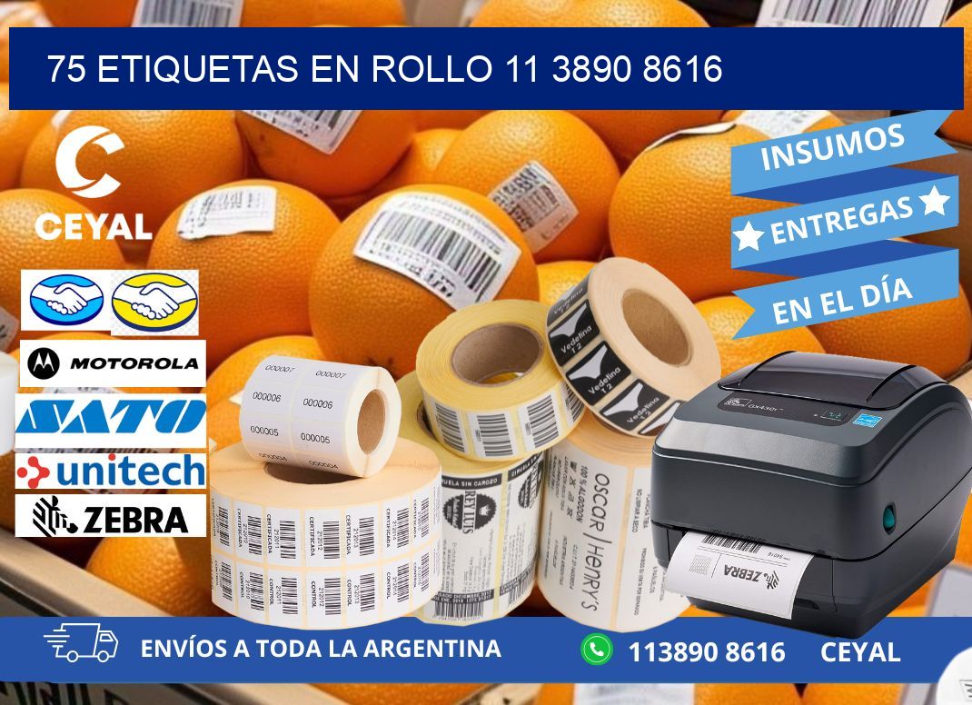 75 ETIQUETAS EN ROLLO 11 3890 8616