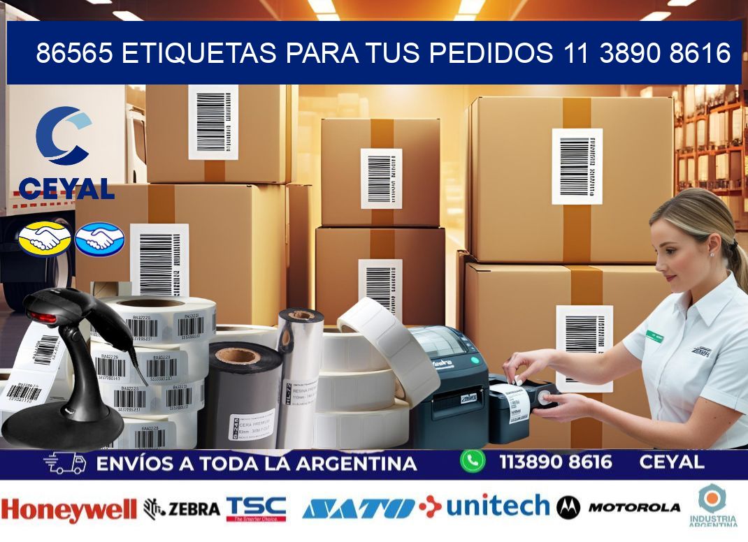 86565 ETIQUETAS PARA TUS PEDIDOS 11 3890 8616