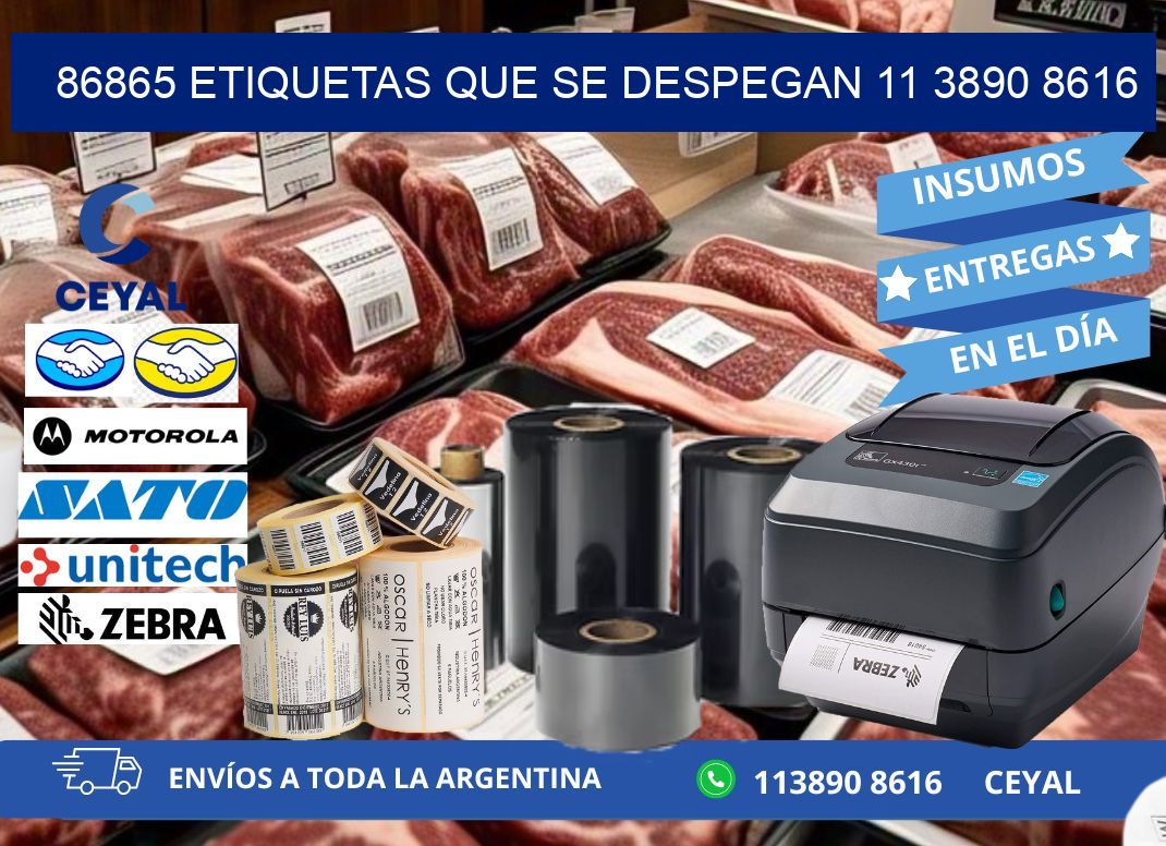 86865 ETIQUETAS QUE SE DESPEGAN 11 3890 8616