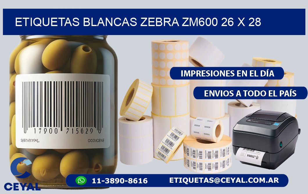 ETIQUETAS BLANCAS ZEBRA ZM600 26 x 28